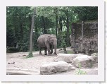 Dierentuin Burgers  Zoo 095 * 3648 x 2736 * (5.42MB)